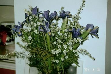 Blue flowers